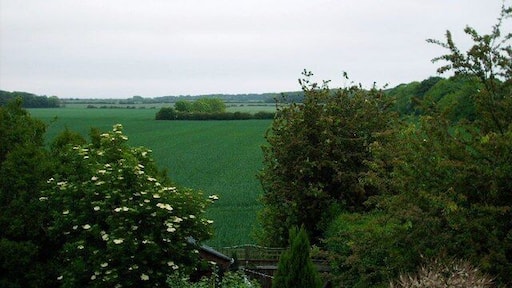 Avenue Head - the farmers view - Seaton Delaval View from Manners Gardens across fields to the coast at Seaton Sluice on the horizon. The gorgeous tree-lined avenue is seen snaking its way along the right of the shot.