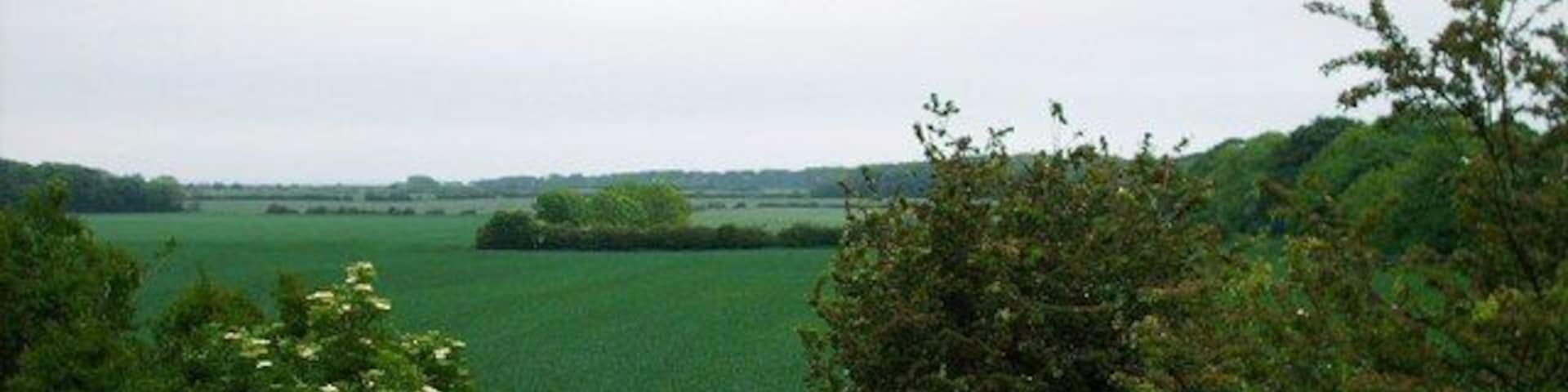 Avenue Head - the farmers view - Seaton Delaval View from Manners Gardens across fields to the coast at Seaton Sluice on the horizon. The gorgeous tree-lined avenue is seen snaking its way along the right of the shot.