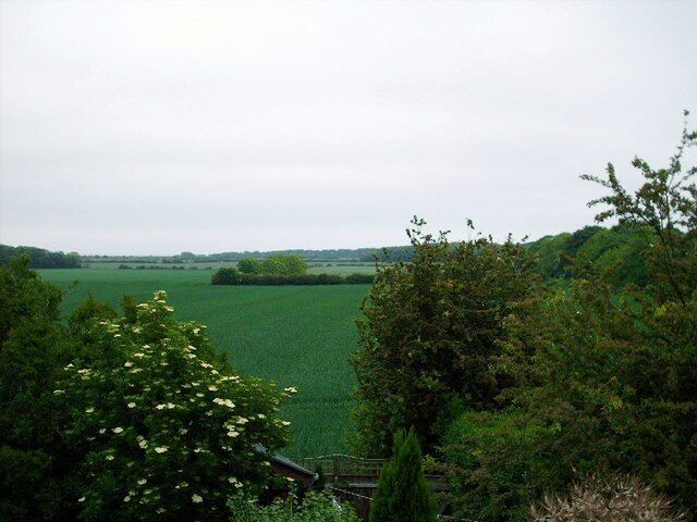 A green field with trees in the foreground and a cloudy sky.