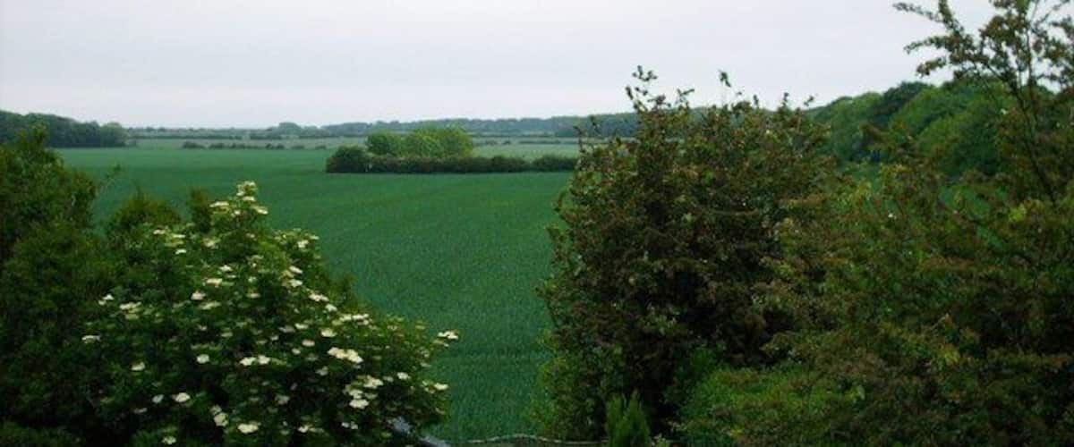 A green field with trees in the foreground and a cloudy sky.