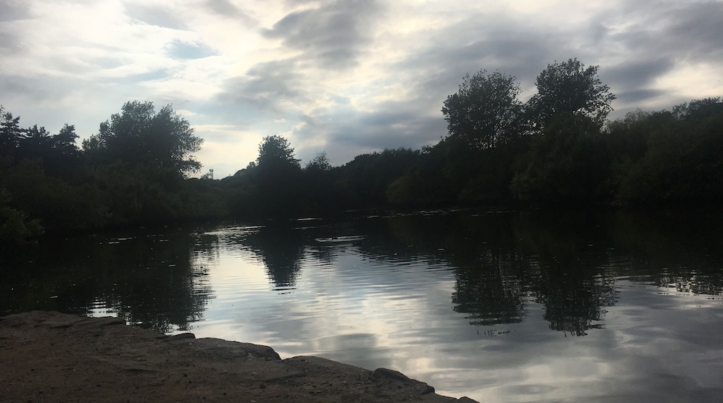 Words can't explain how glorious it is to see the sky mirrored in water on a calm day
