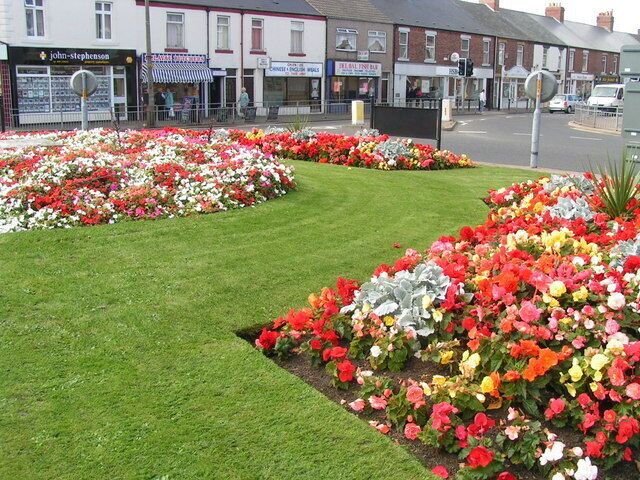 Seaton Delavals Summer Flower Show Photo taken actually on the island at the intersection of the A190 & the A192 at personal risk to wind and limb to get there