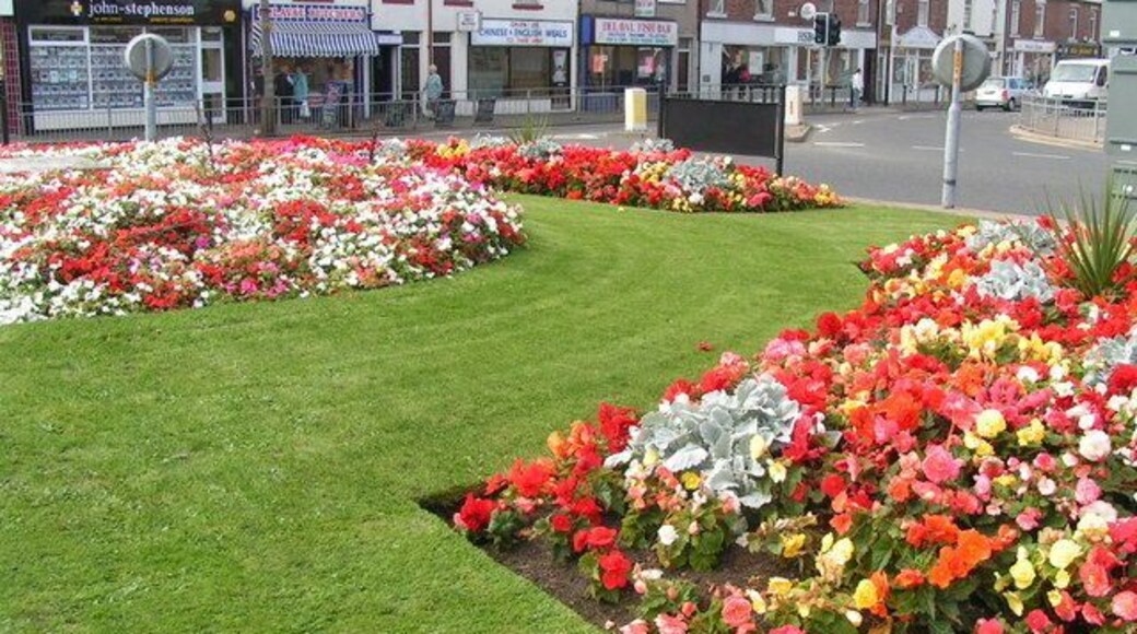 Seaton Delavals Summer Flower Show Photo taken actually on the island at the intersection of the A190 & the A192 at personal risk to wind and limb to get there