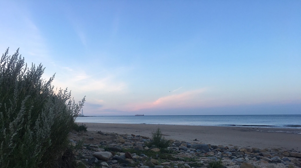 I would swap technology and other ways of entertainment to watch the sky for the rest of my life, it shows and gives us so much