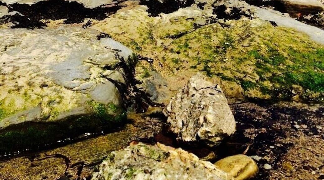 Seaside personified #BeachBound