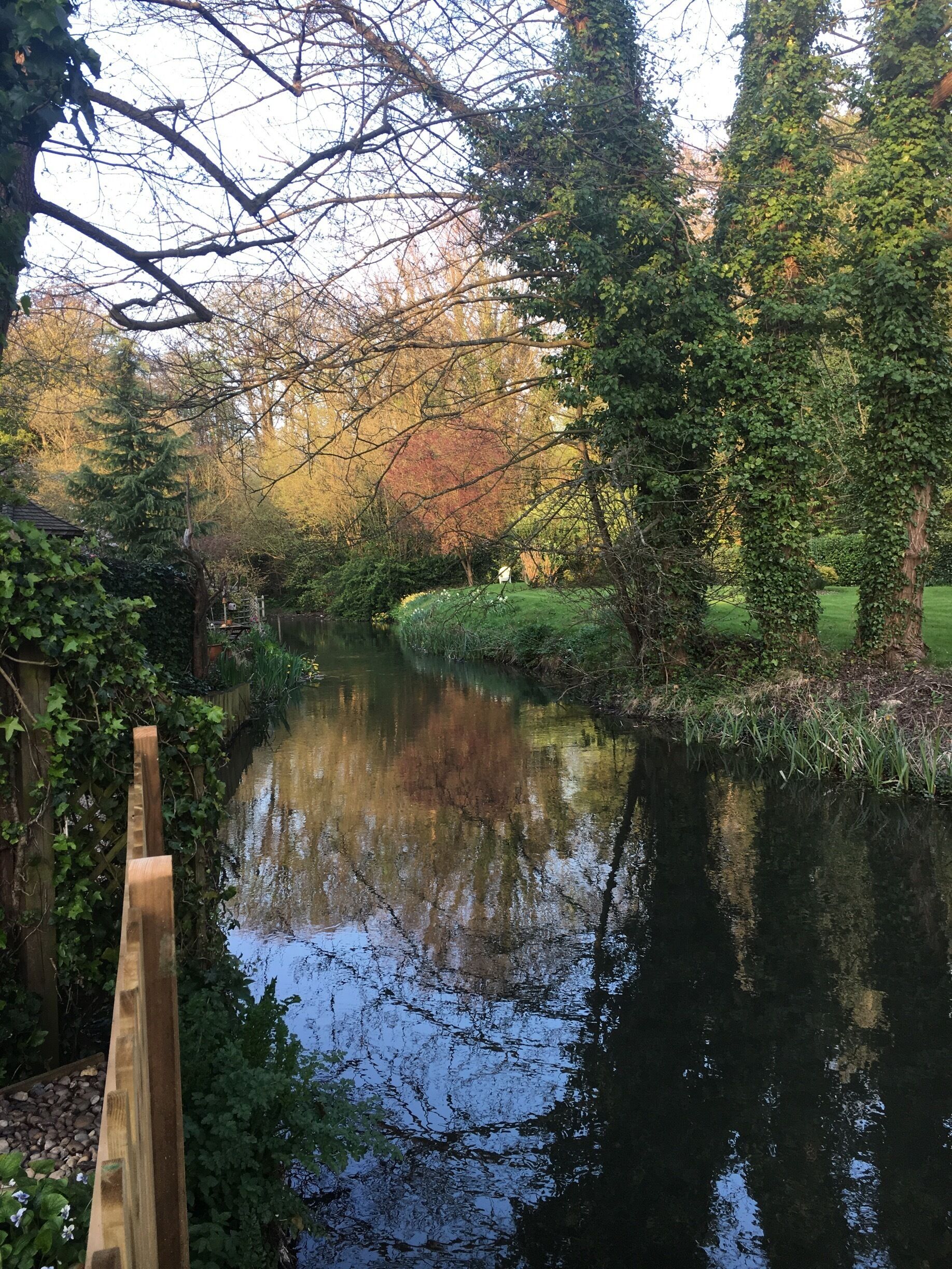 Beautiful view from the bottom of the garden 