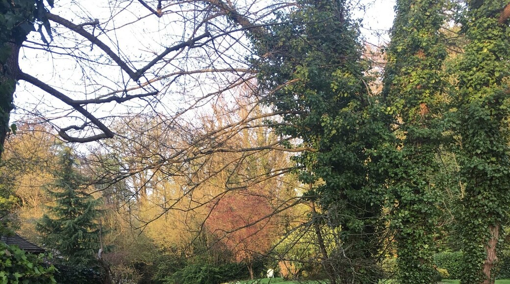 Beautiful view from the bottom of the garden