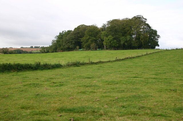 Quarry Plantation Quarry Plantation from the Maperton to Silver Knap road