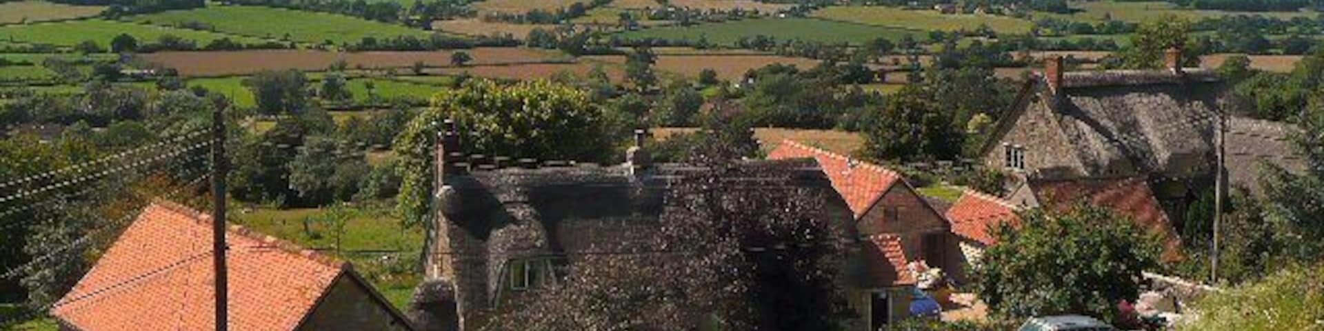 Cucklington