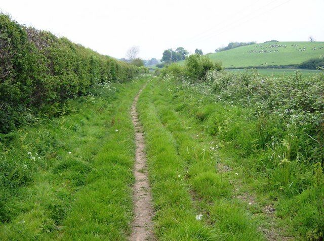 Hick's Lane near Marylands Farm This lane is a bridleway, part of three long distance paths, the Macmillan Way, the Monarch's Way and the Leland Trail. The cows on the hillside are in the next square.