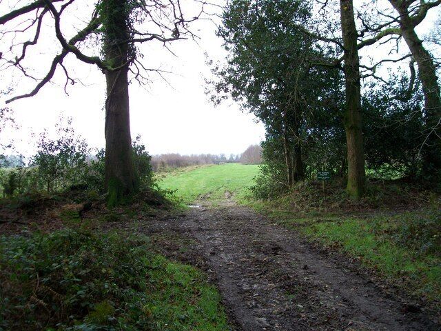 Woodland near Pen Ridge Farm