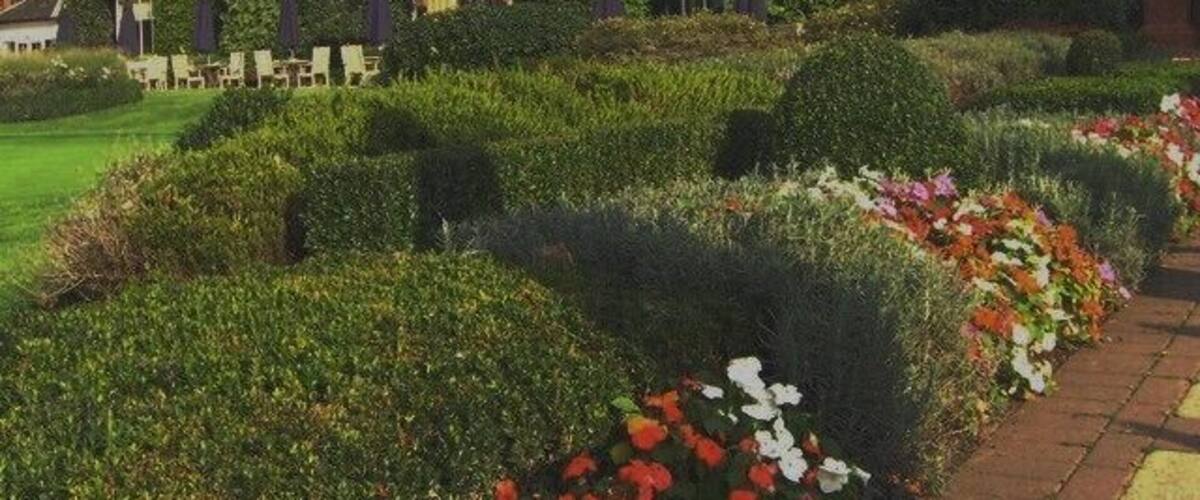 The Belfry Golf Centre. Home of the Ryder cup. Three good golf courses, hotel and facilities. Looking at French Restaurant across putting green.