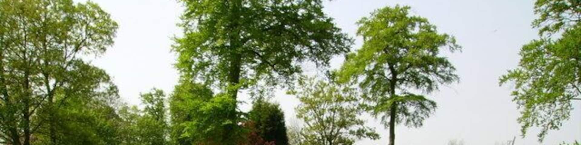 The 10th green on brabazon Pro-am day at the Belfry.Never mind the golf, just take in the scenery