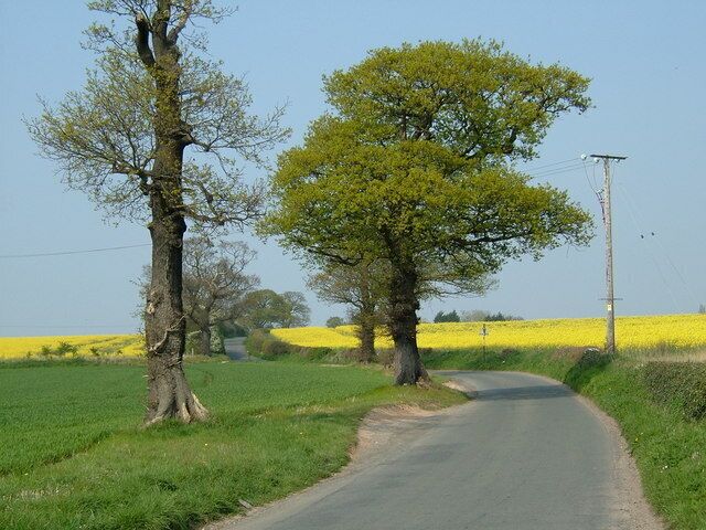 Wishaw Lane, Sutton Coldfield Taken in the opposite direction to the other Wishaw Lane image, to avoid the power lines.