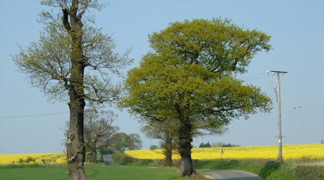 Wishaw Lane, Sutton Coldfield Taken in the opposite direction to the other Wishaw Lane image, to avoid the power lines.