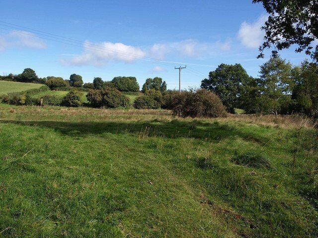 Meadow near Wiveliscombe. The eastern end of 1518250, seen from the West Deane Way close to the southeastern corner. On the left in the hedge is the wall mentioned in 1518266, of which image this is a reverse view. The Way climbs the field above it, to the right of the hedge.