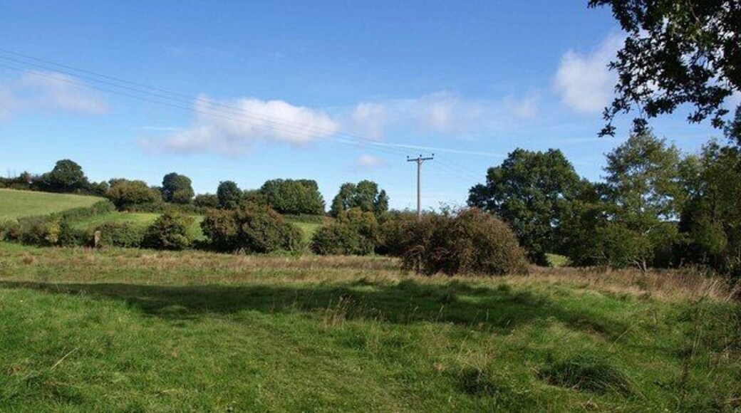 Meadow near Wiveliscombe. The eastern end of 1518250, seen from the West Deane Way close to the southeastern corner. On the left in the hedge is the wall mentioned in 1518266, of which image this is a reverse view. The Way climbs the field above it, to the right of the hedge.
