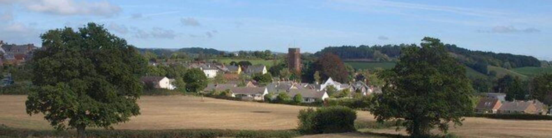 View towards Wiveliscombe. From the same path as 1520431, taken near Culverhay Farm and looking across the same fields towards the town in ST0827.