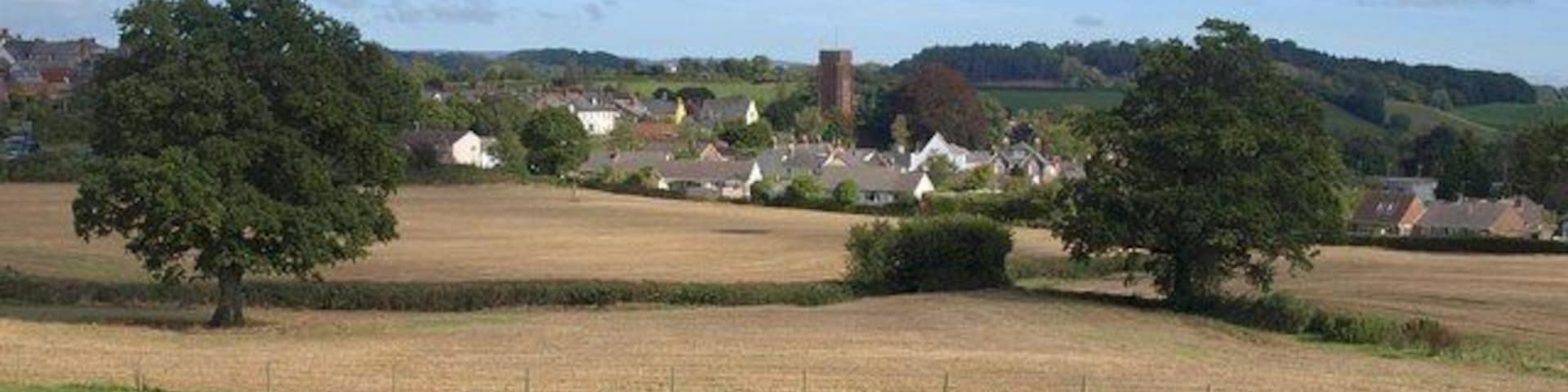 View towards Wiveliscombe. From the same path as 1520431, taken near Culverhay Farm and looking across the same fields towards the town in ST0827.
