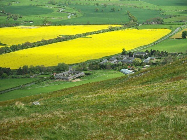 The Northumbrian village of Akeld Akeld Village from Akeld hill