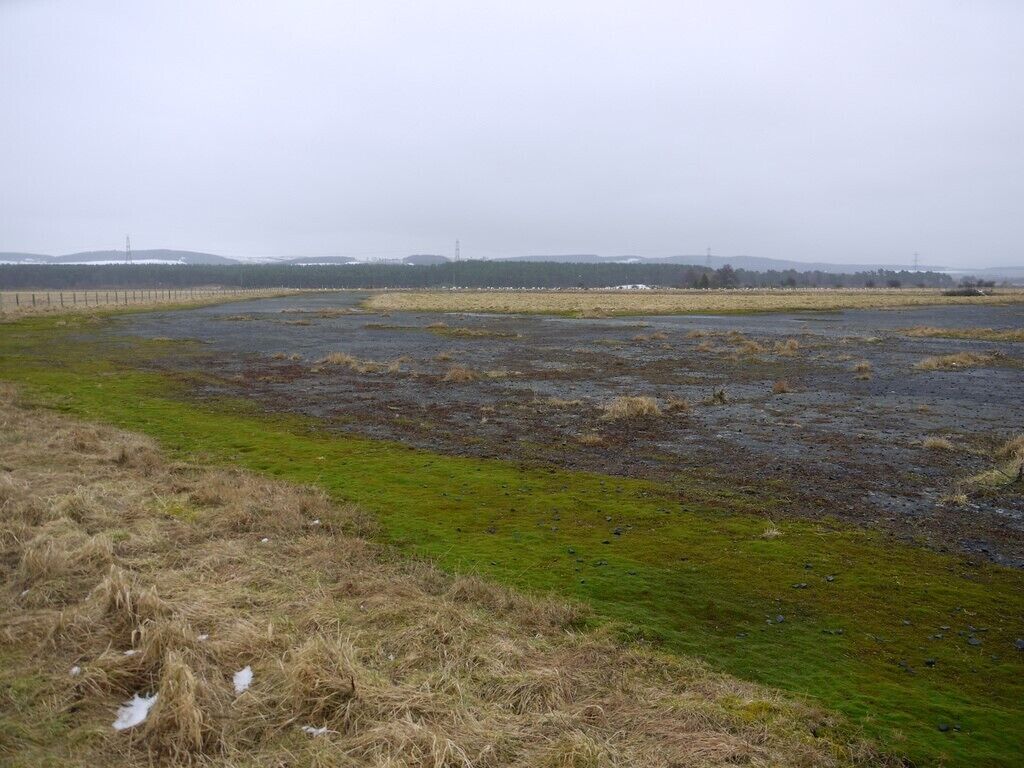 A wetland area with patches of grass and moss, surrounded by a fence.