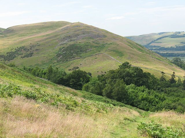 Akeld Hill from the south-east Looking across the valley of the Akeld Burn, towards Akeld Hill which is marked by a currick on the summit.