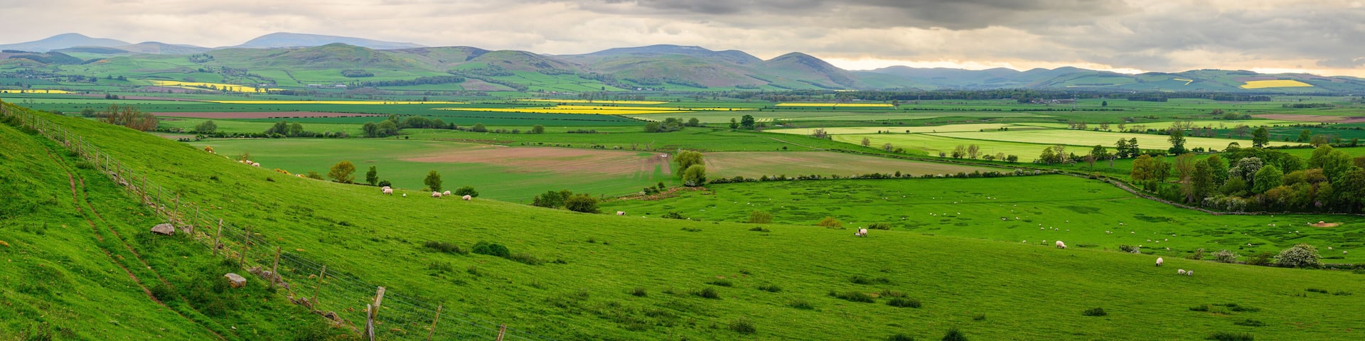 Milfield Plain and Cheviot Hills Panorama, viewed from Doddington Moor, Milfield Plain is in Glendale and was once an ancient lake and is now flat farmland