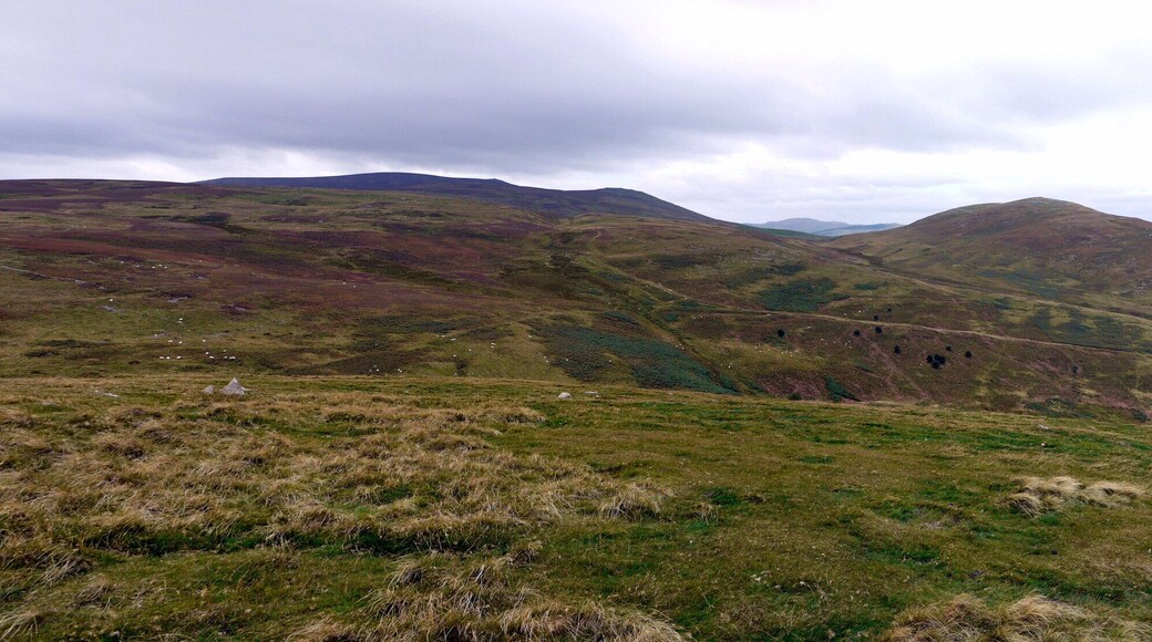 Yeavering Bell from White Law The hills to the left of Yeavering Bell are Easter Tor and Newton Tors