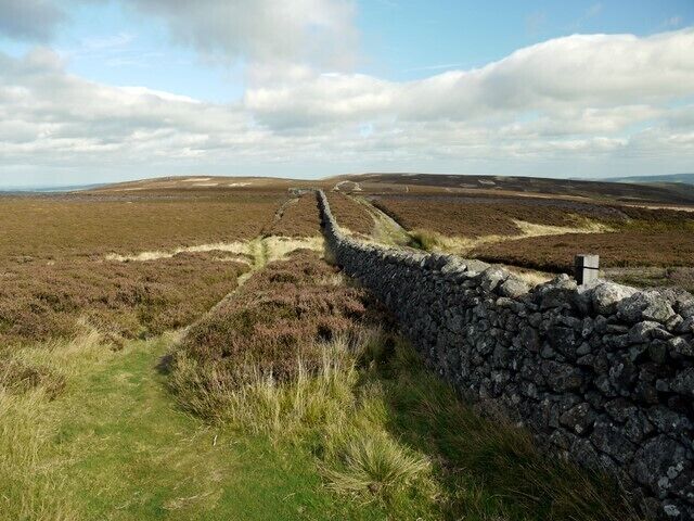 Wall by St Cuthbert's Way over Black Law