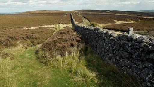 Wall by St Cuthbert's Way over Black Law