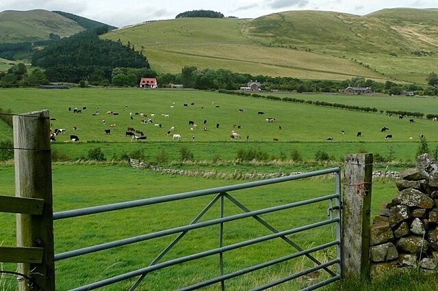 Un campo verde con un muro de piedra y una puerta de madera.