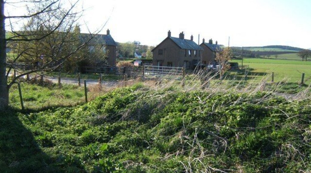 Houses on the outskirts of Milfield. Houses just off the A697 on the southern edge of Milfield, viewed from the carpark for RAF Milfield and the Maelmin Heritage Trail 1249023.