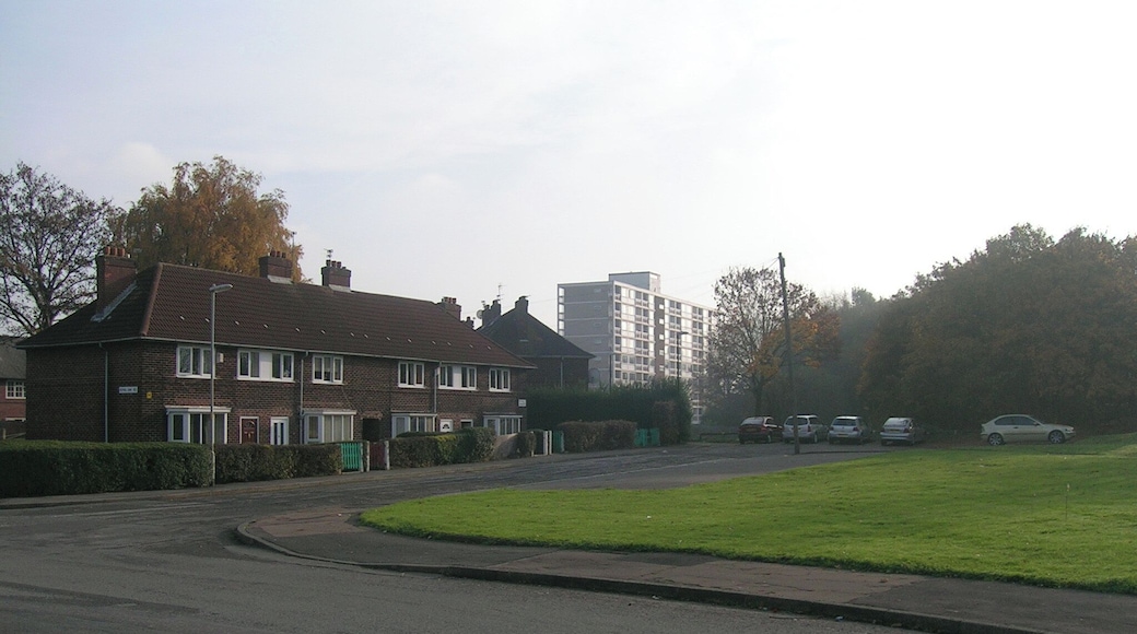 Pitfield Gardens, Baguley