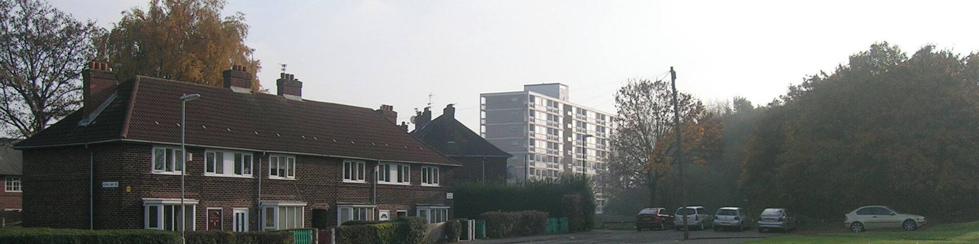 A residential street with houses, a grassy area, and parked cars.