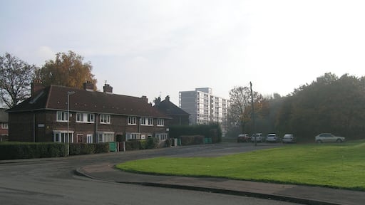 Pitfield Gardens, Baguley