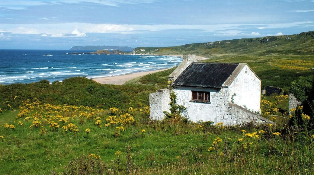 The spectacular sandy beach forms a white arc between two headlands on the North Antrim Coast. Its secluded location means that even on a busy day there is plenty of room for quiet relaxation.
The beach is also backed by ancient sand dunes that provide a range of rich habitats for bird and animal life. #beach