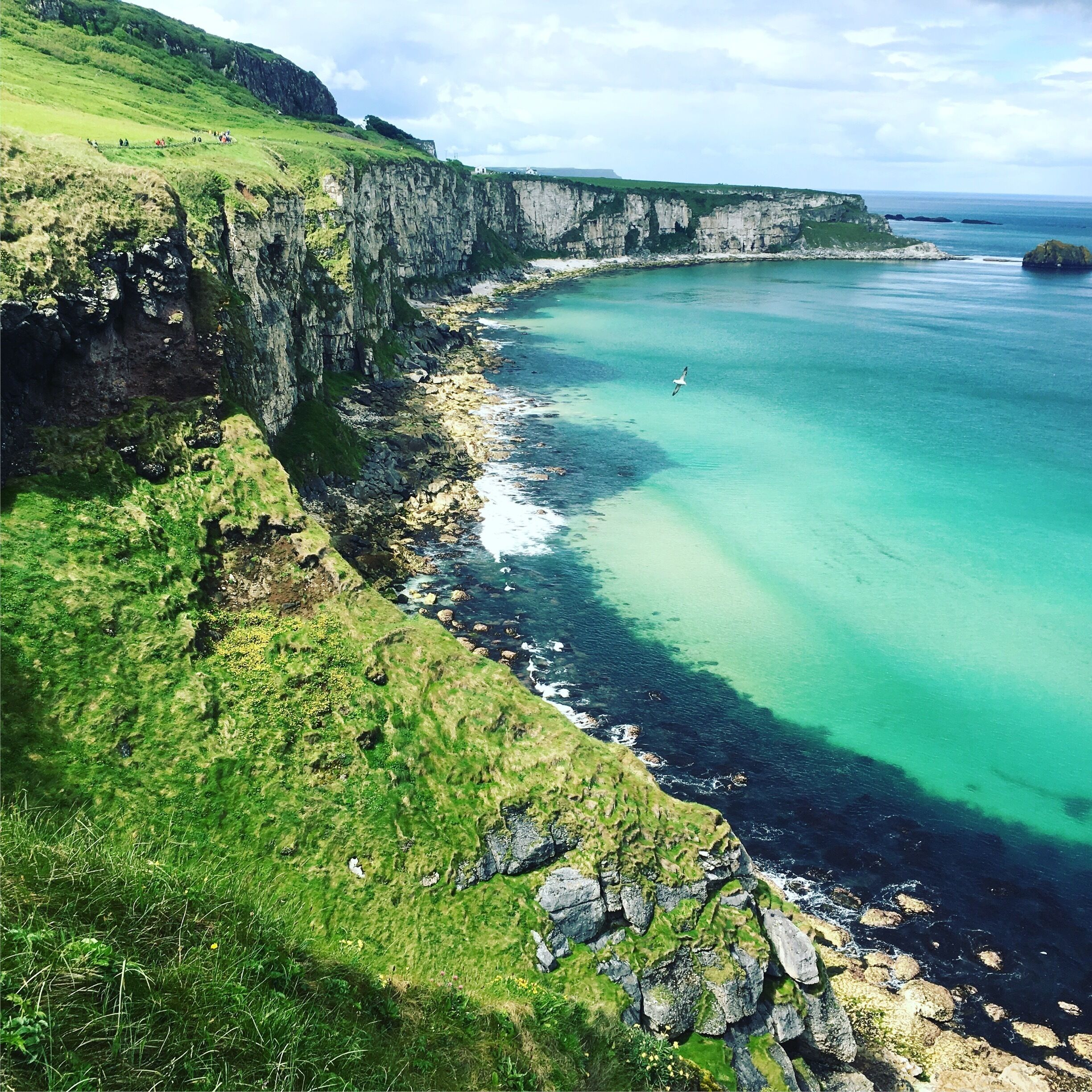 A coastal cliff with a clear turquoise sea, grassy cliffs, and a distant shoreline.