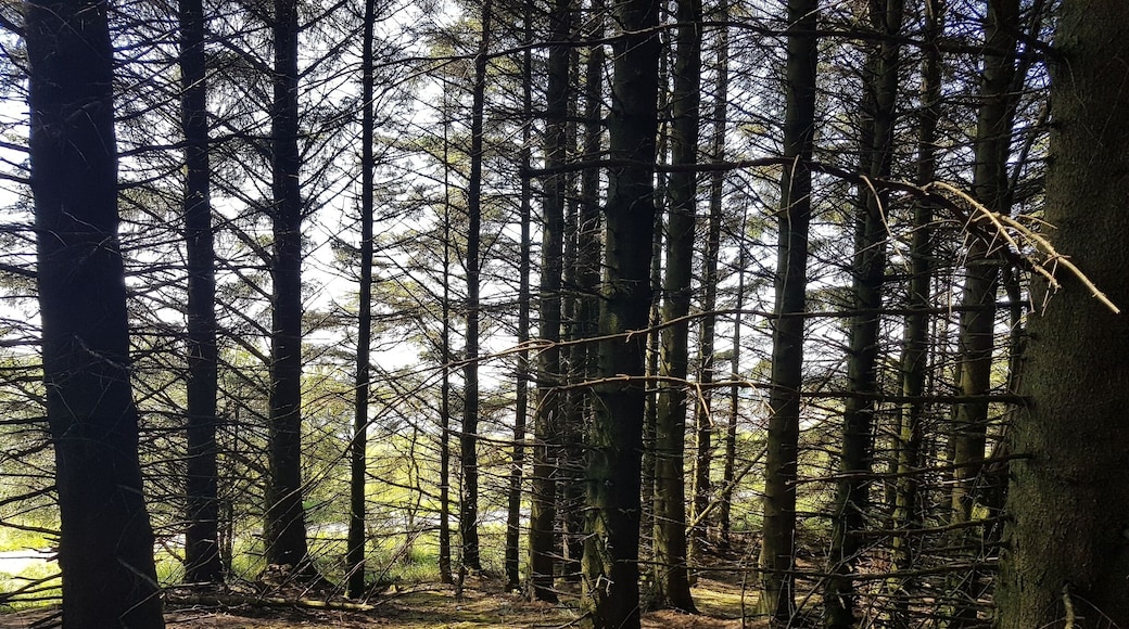 Resivour good walks and fishing