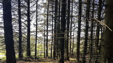 Resivour good walks and fishing