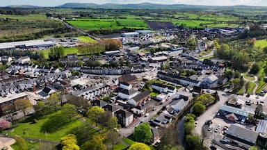 A town with residential houses, industrial buildings, and green fields.