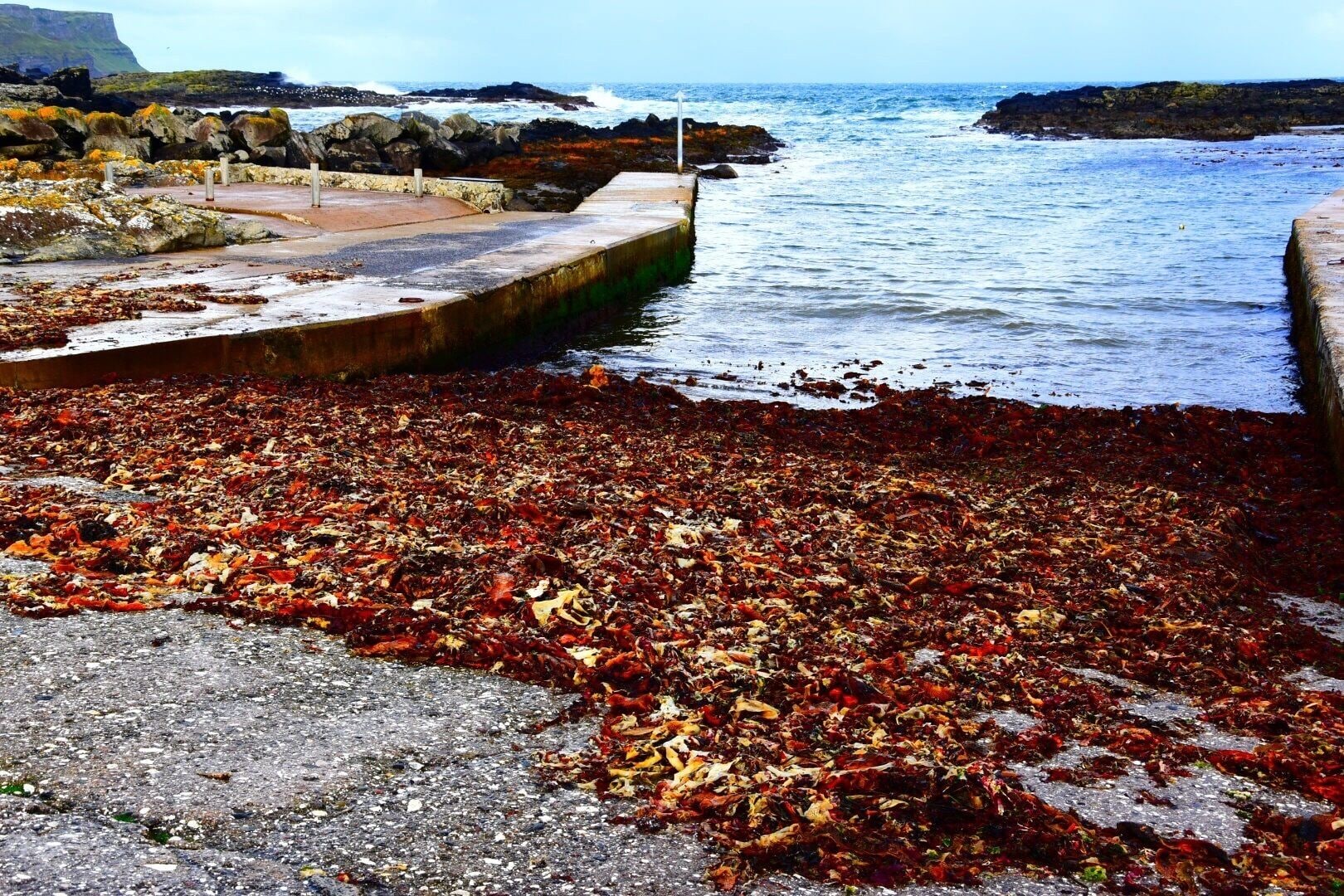 Great coastline spot for some photo opportunities. Craggy rocks, crashing waves, a ruin - it's all there. This was taken in 'vivid'.

All in all I've loved this area 😊 #dunseverick #causewaycoastalroute #northernireland 