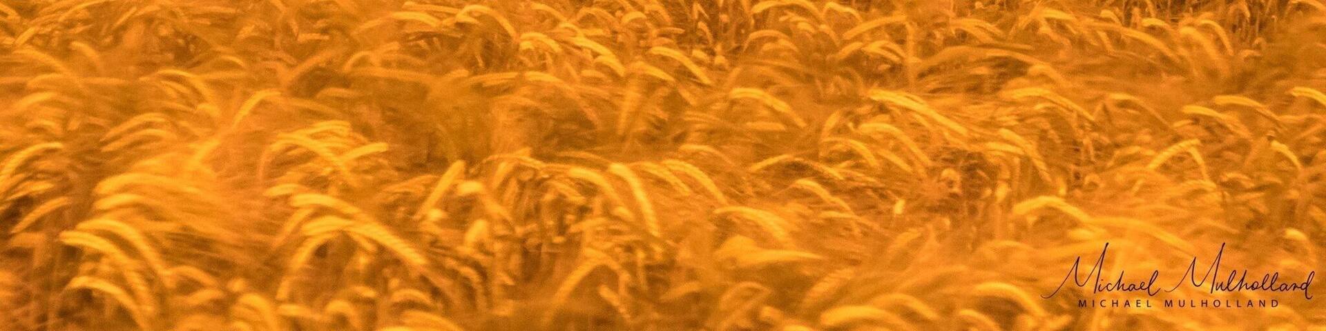 The location used by Rihanna for her 2011 "We Found Love" music video.