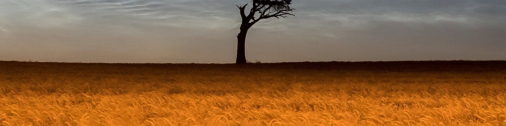 The location used by Rihanna for her 2011 "We Found Love" music video.