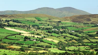 Sperrin Mountains, County Tyrone, Northern Ireland. Northeast over farmland landscape valley of the Owenkillew River to Sawel Mountain