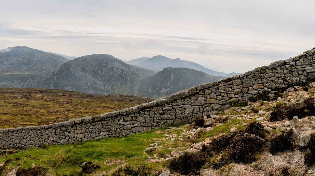 Panoramic view of typical Irish landscape, fields, sea in background. Picture taken from the top of Mourne mountains