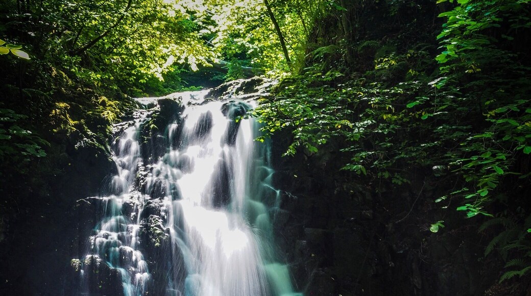 Glenoe or Gleno is a hamlet in County Antrim, Northern Ireland. It is halfway between Larne and Carrickfergus. Gleno waterfall, is now owned by the National Trust. The waterfall is in a deep gorge. At the top of the steep brae is St. Columbas Church of Ireland church. #Glenoe #NorthernIreland #Waterfall