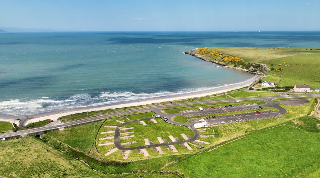 Larne