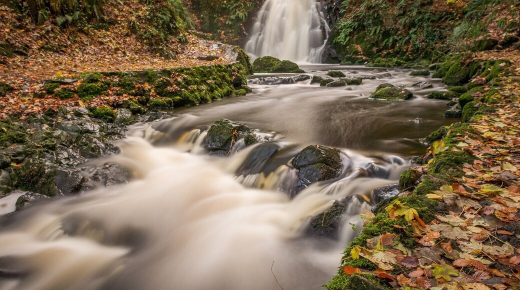 Glenn, County Antrim, Ireland