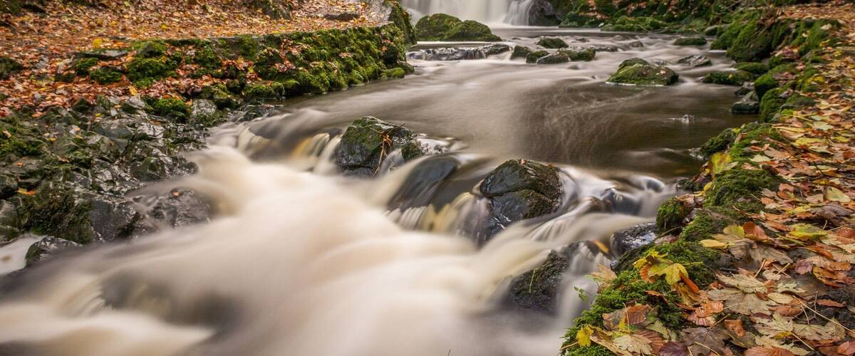 A waterfall cascading over rocks in a forested area with autumn leaves.