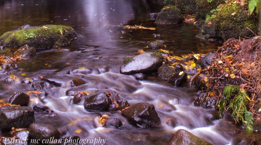 Such a beautiful waterfall